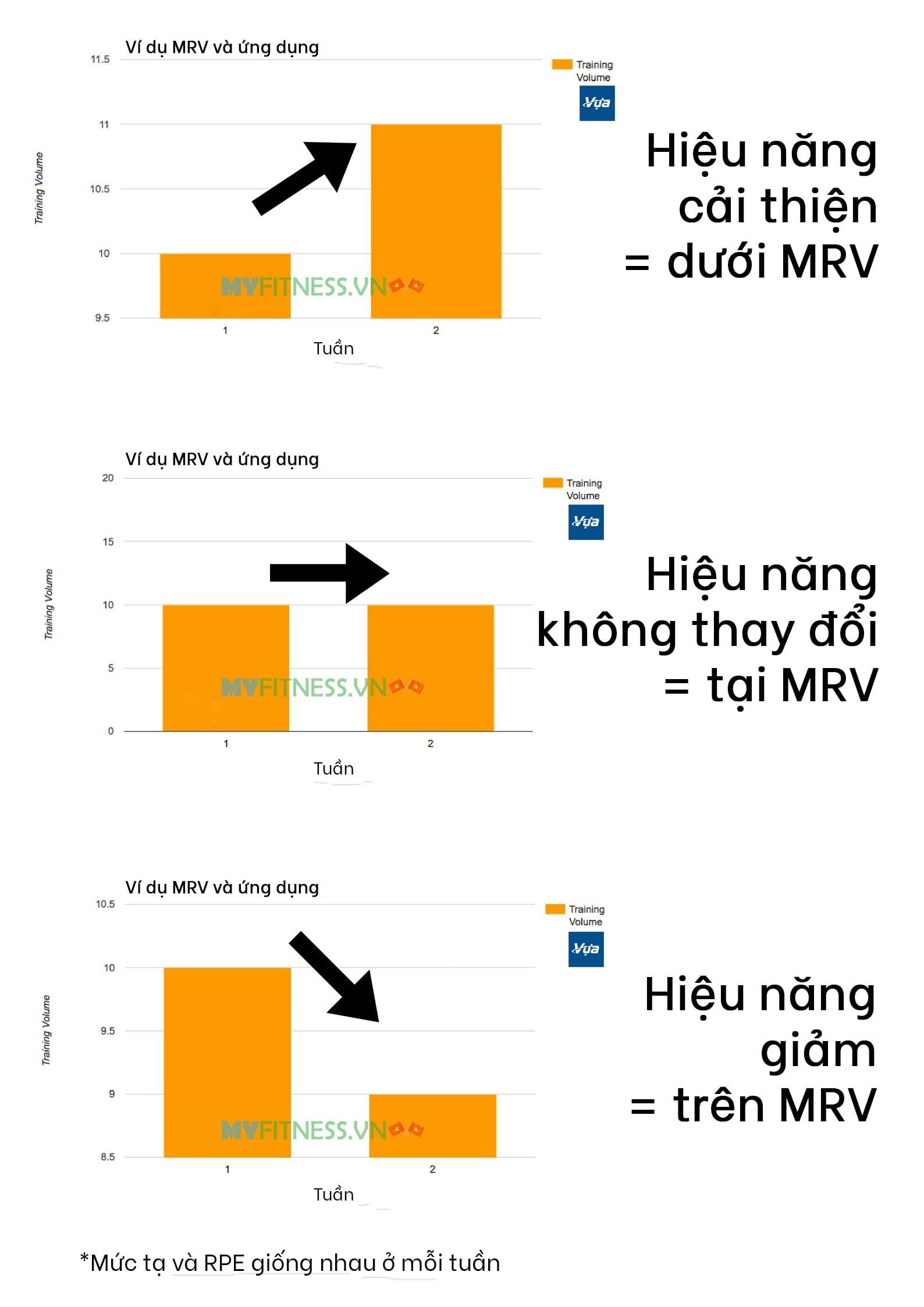 MRV và ứng dụng trong tập luyện Hypertrophy? (MRV Series Phần 1) - decreased performance over mrv 1 1