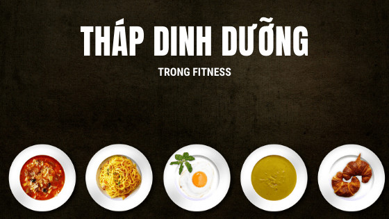 Tháp Dinh Dưỡng Trong Fitness - hauling photo business blog banner