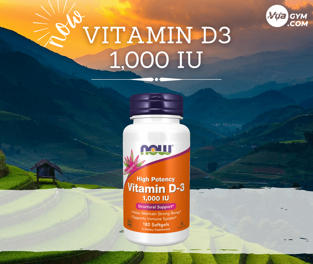 NOW - Vitamin D-3 - 1,000IU (180 viên) - now vitamin d3 1000oi 120v vuagym