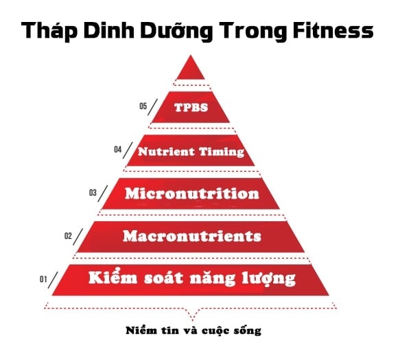 Tháp Dinh Dưỡng Trong Fitness - thap dinh duong