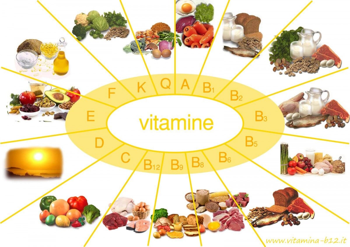 Tầm quan trọng của vitamin đối với người tập thể hình