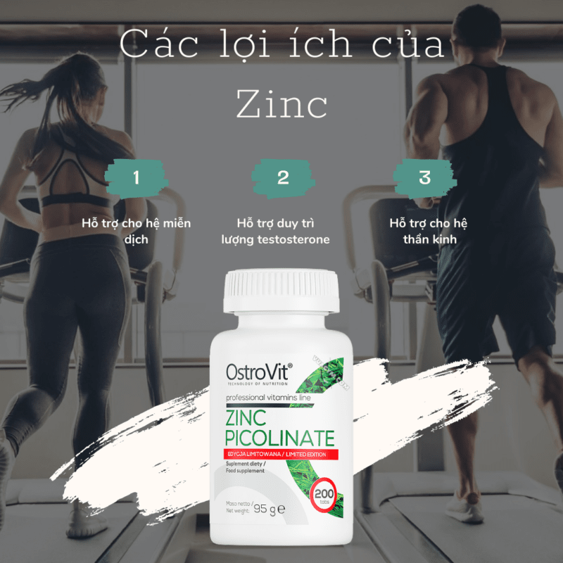 OstroVit Zinc Picolinate (200 viên) Vựa Gym