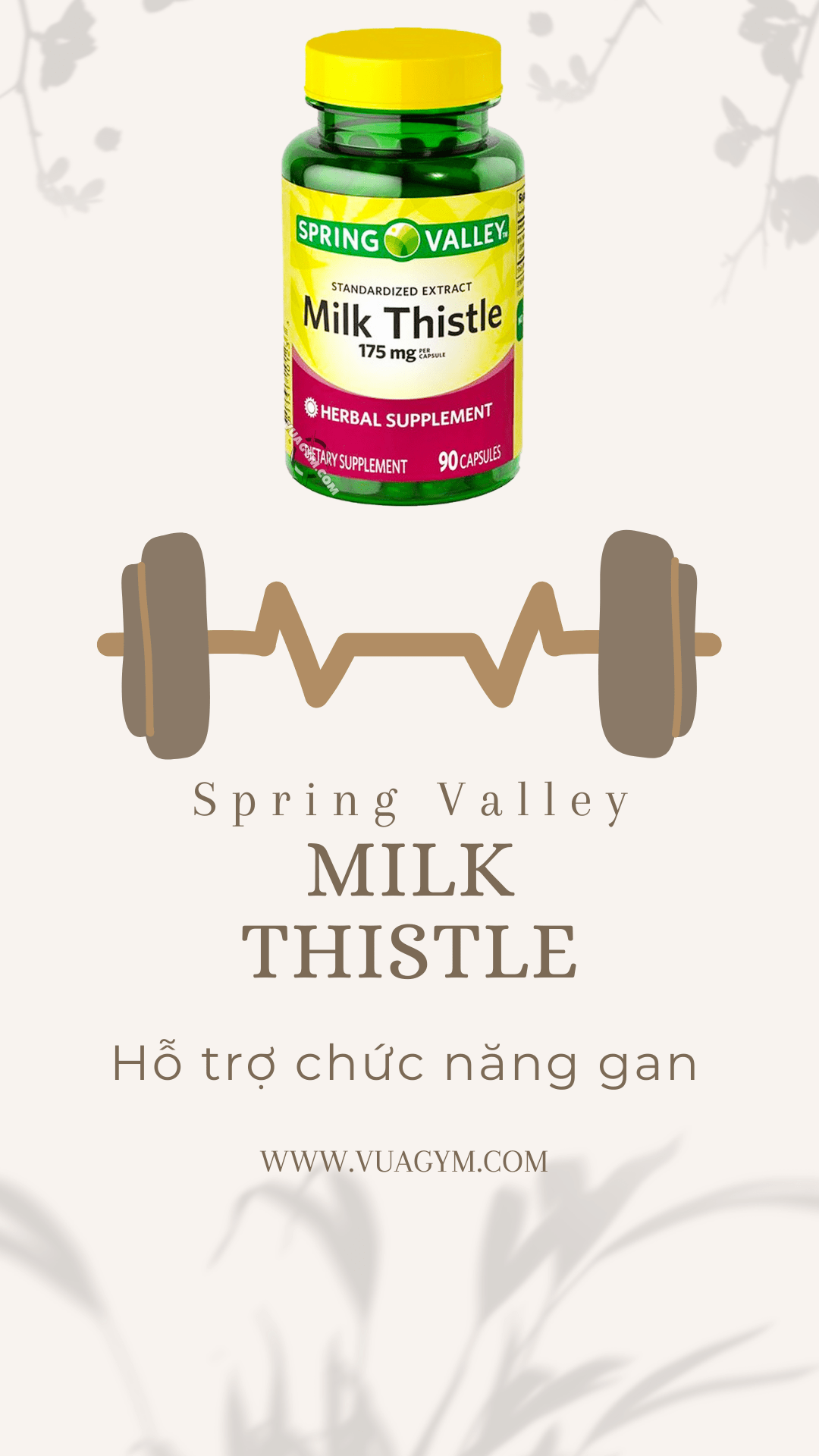 Spring Valley - Milk Thistle 175mg (90 viên) - milk thistle 90v