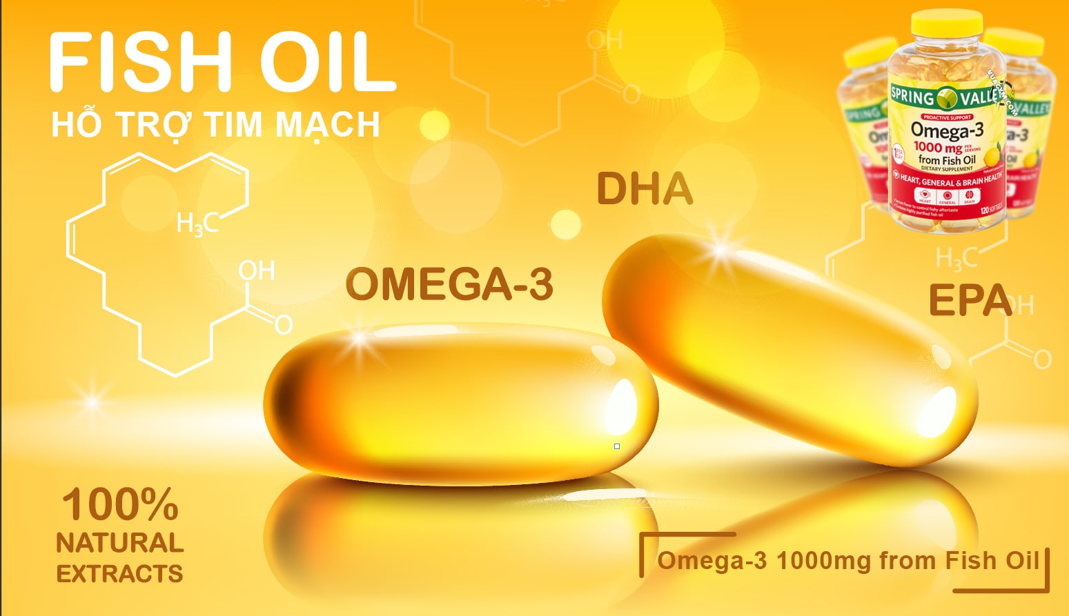 Spring Valley - Omega-3 1000mg from Fish Oil (120 viên) - omega 3 sring