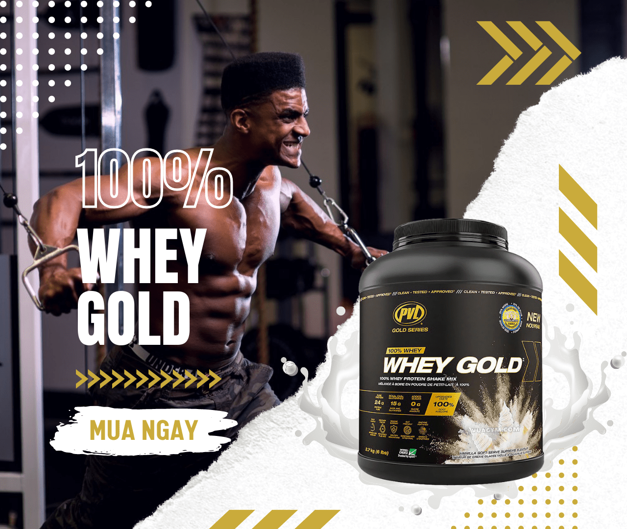 PVL - Whey Gold (6 Lbs) - pvl wwhey gold 1