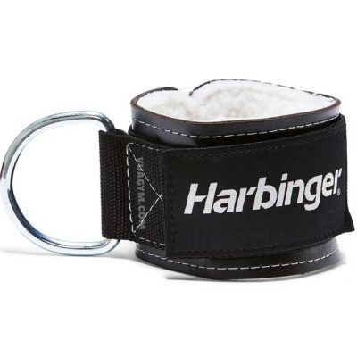 Ảnh sản phẩm Harbinger - 3