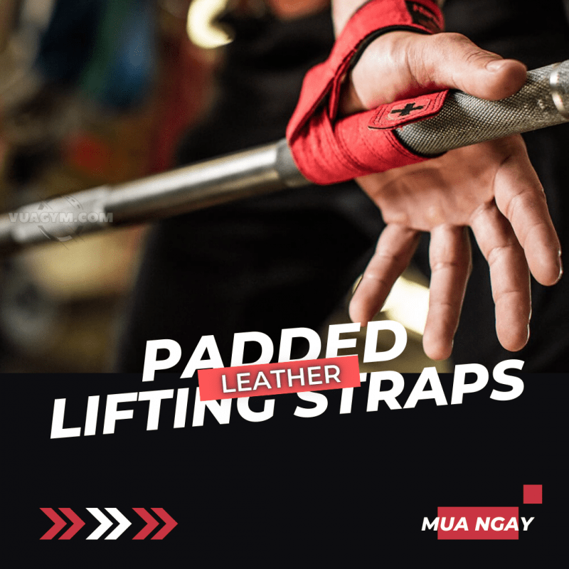 Harbinger Padded Leather Lifting Straps (1 cặp) Vựa Gym