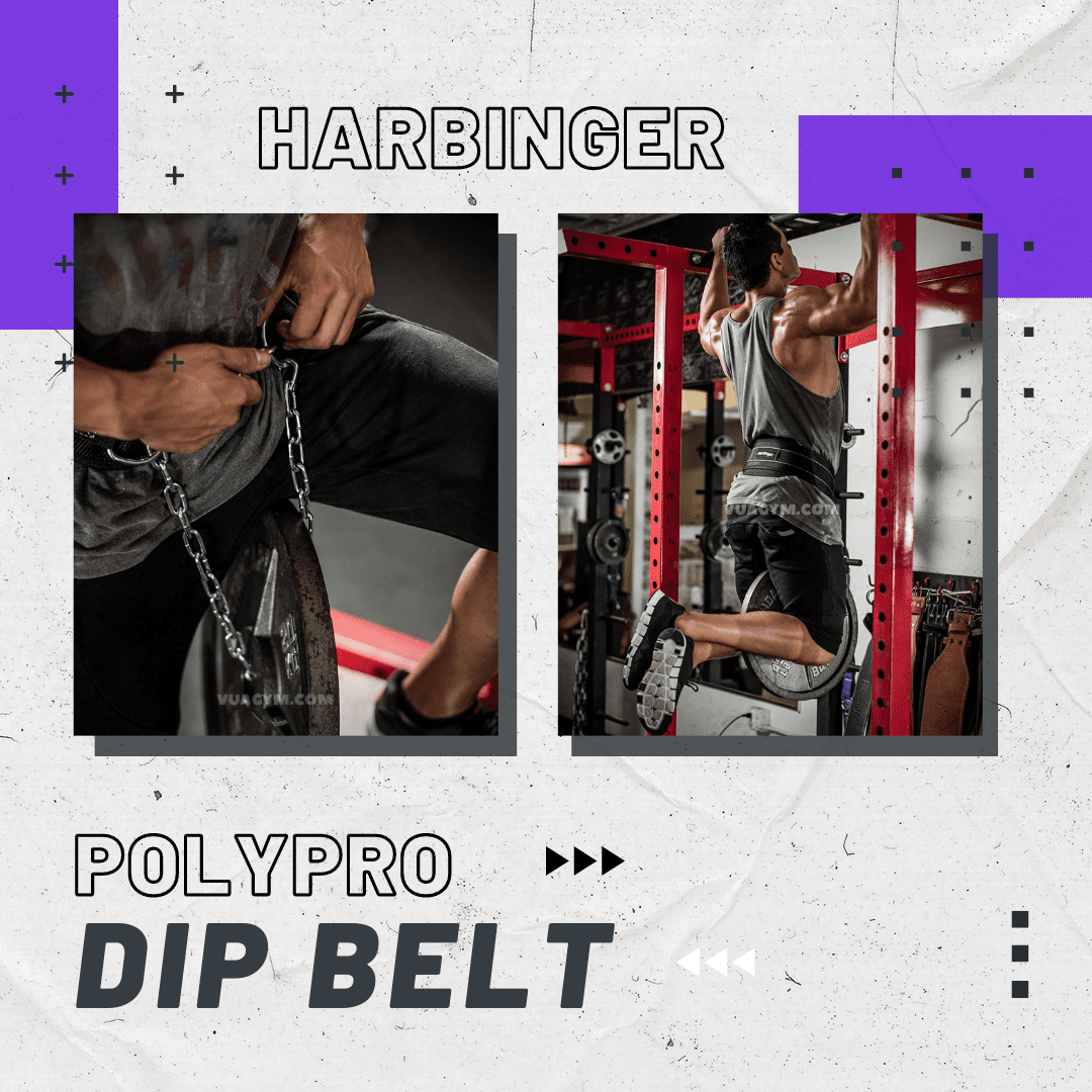 Harbinger - PolyPro Dip Belt - polypro belt