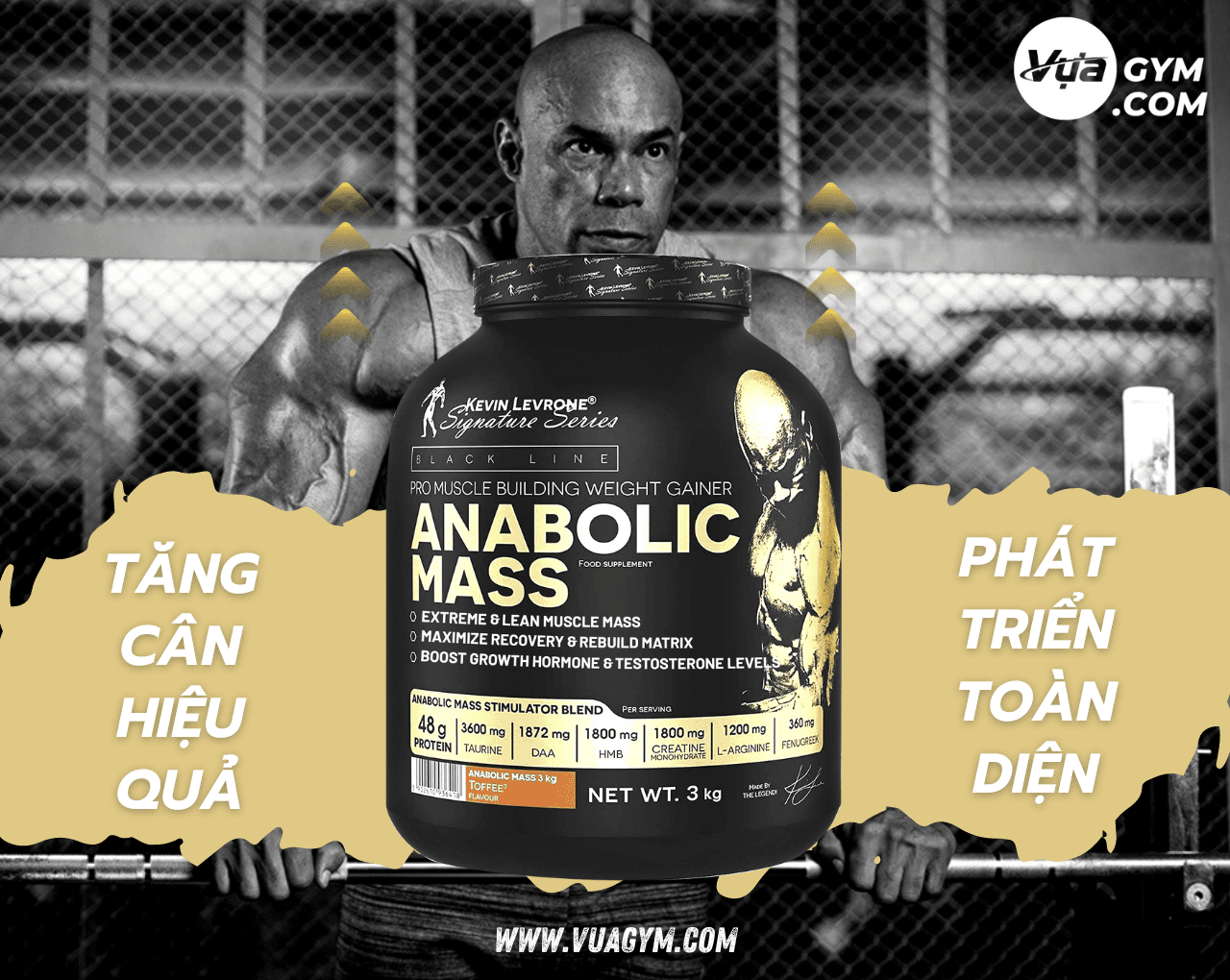 Kevin Levrone - Anabolic Mass (3KG) - anabolic mass 3kg vuagym