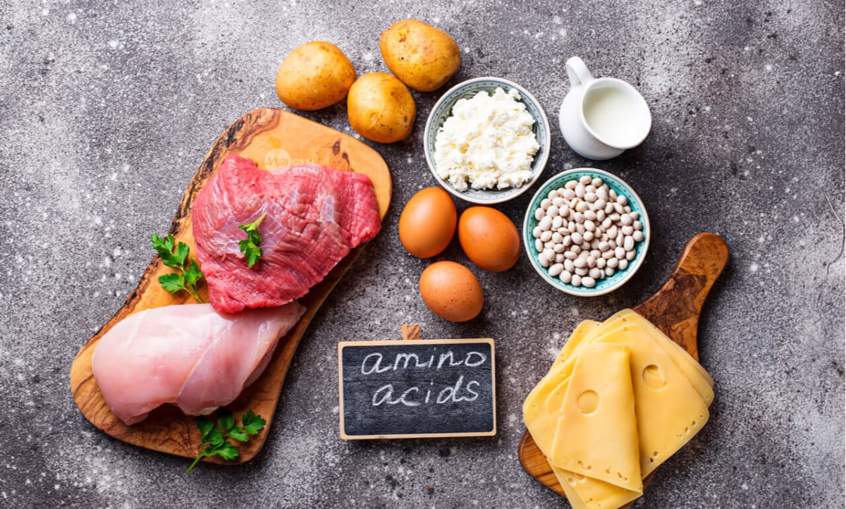10 Thực phẩm chứa EAA bạn nên biết - amino acid 1