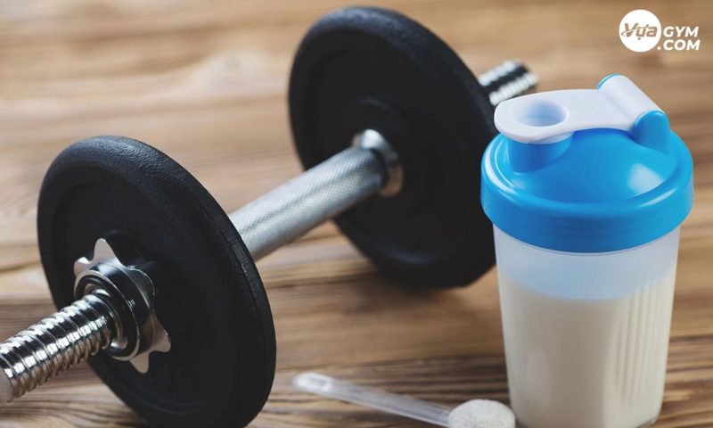 Whey Protein và phục hồi cơ bắp sau tập luyện - 9 best whey protein powders of 2019 according to rds