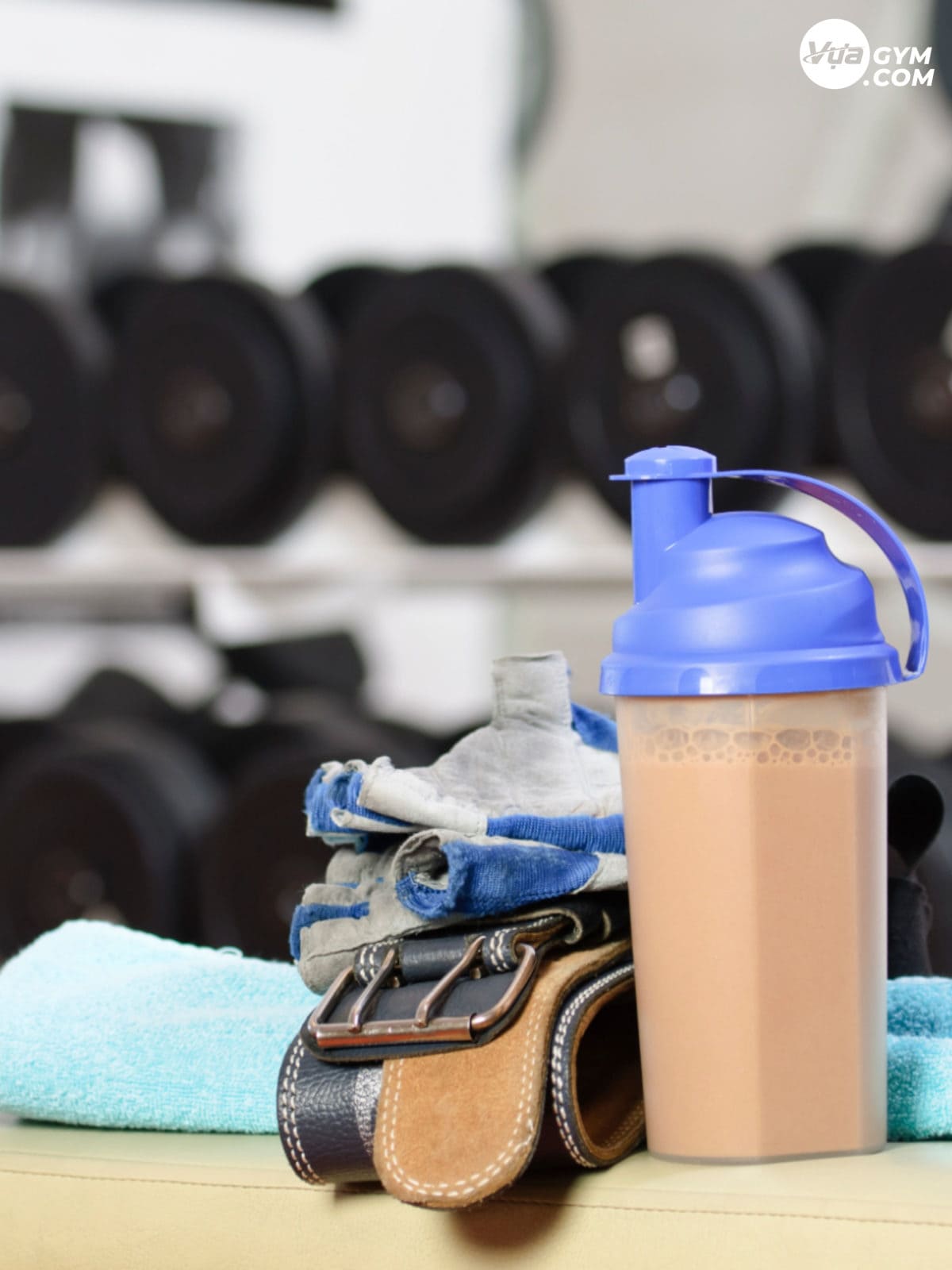 Whey Protein và phục hồi cơ bắp sau tập luyện - projeto fitness suplemento proteico realmente funciona