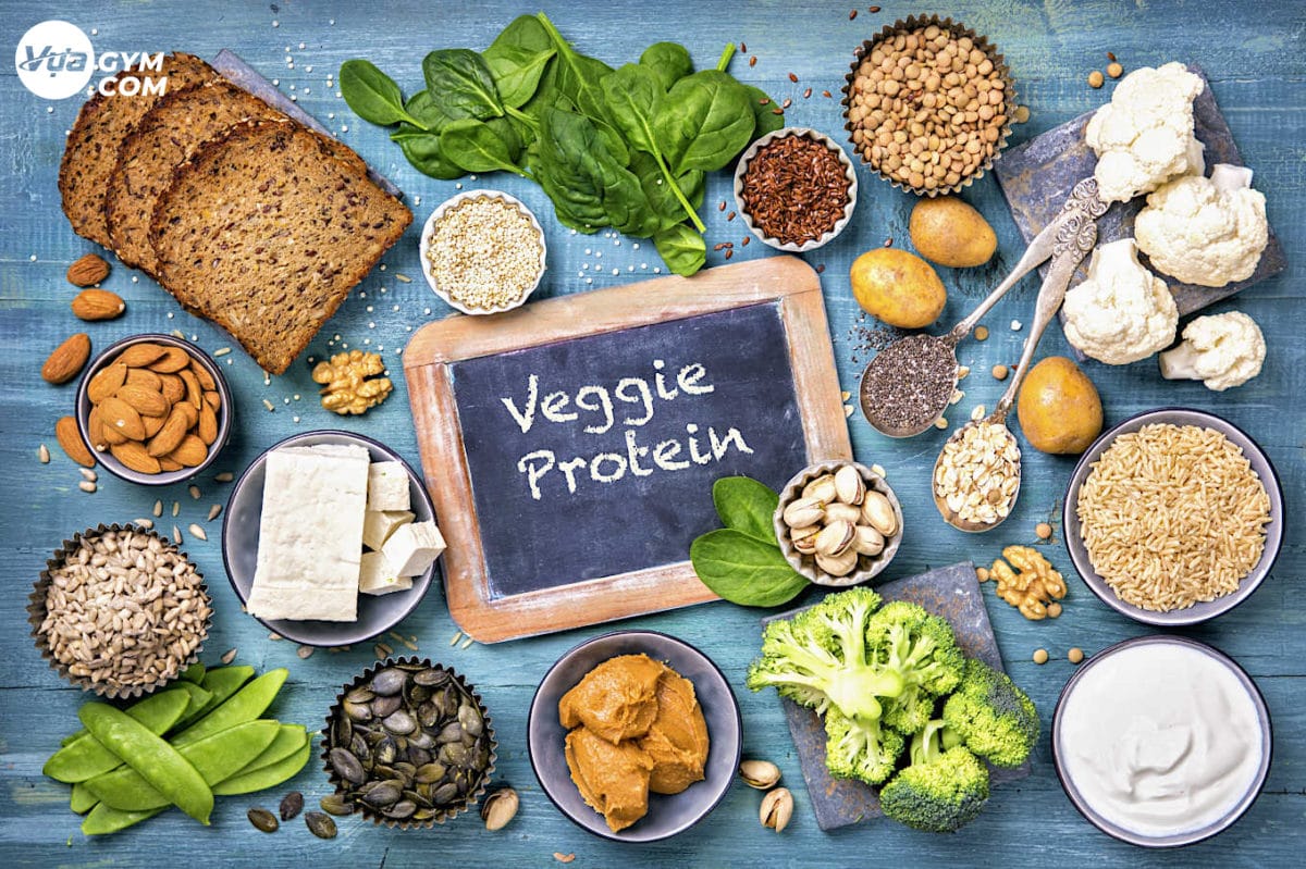So sánh giữa Whey Protein và Vegan Protein: Cách để lựa chọn sản phẩm phù hợp - untitled 1 2