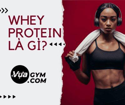 whey protein concentrate
