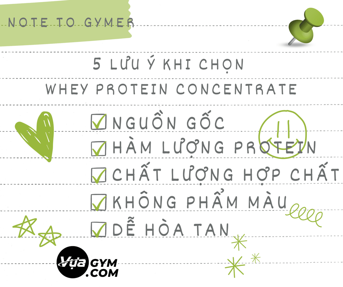 Whey Protein Concentrate: Loại Whey Protein nào tốt nhất cho sức khỏe? Top 5 điều gymer cần phải lưu ý khi lựa chọn sản phẩm - 4 1