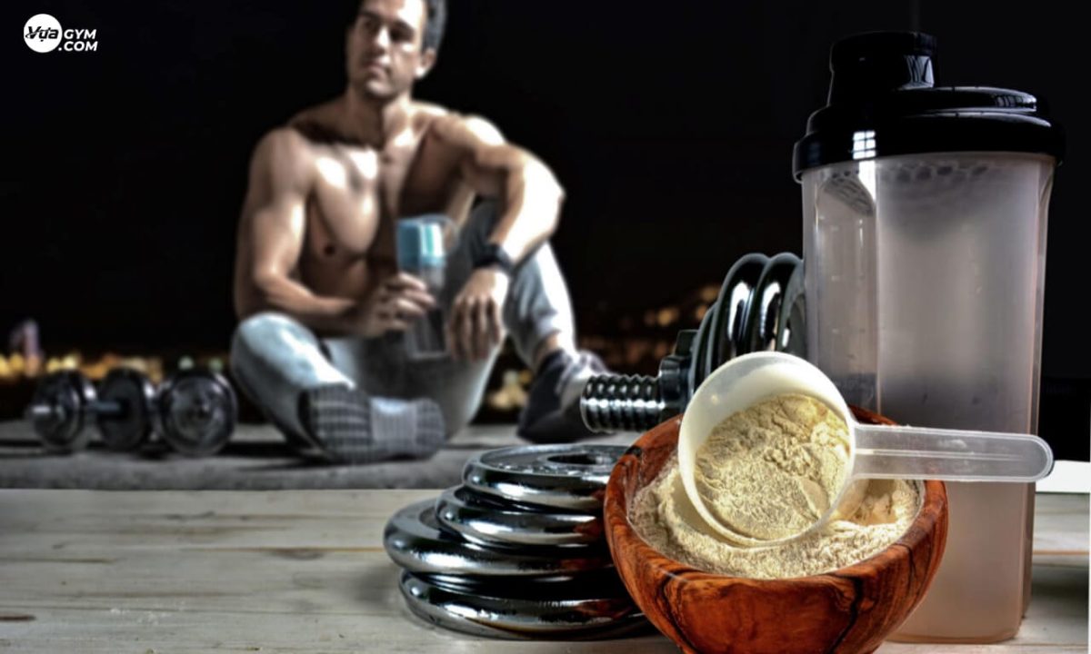 Whey Protein Hydrolysate: Loại Whey Protein nào tốt nhất cho sức khỏe?