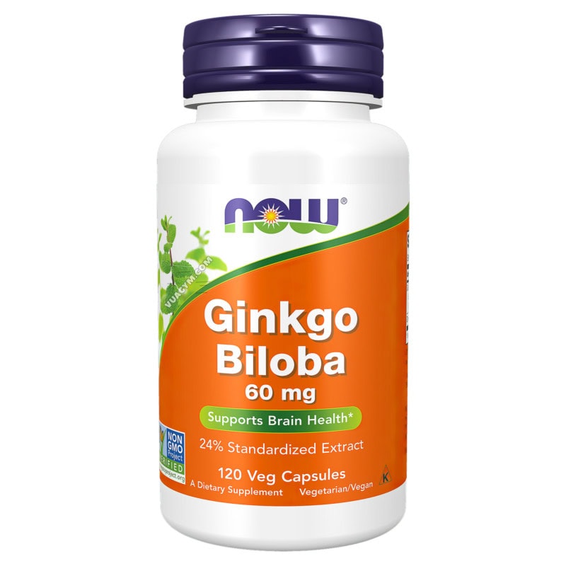 Ảnh sản phẩm NOW - Ginkgo Biloba 60mg (120 viên)
