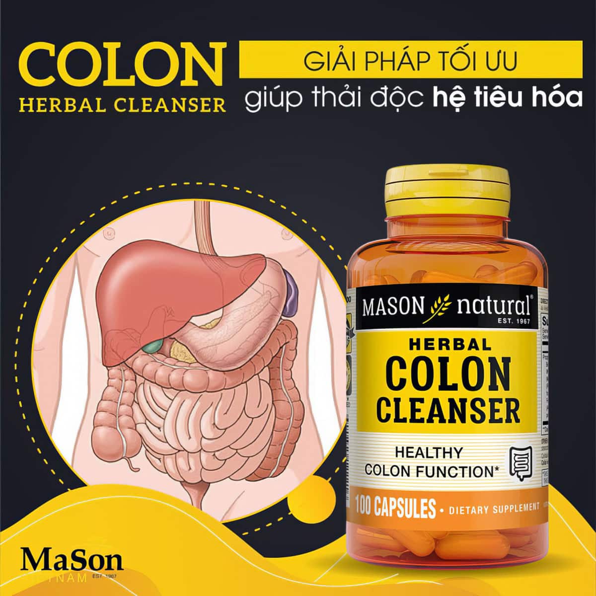 Mason - Colon Herbal Cleanser (100 viên) - mason colon herbal cleanser 100 vien motavuagym