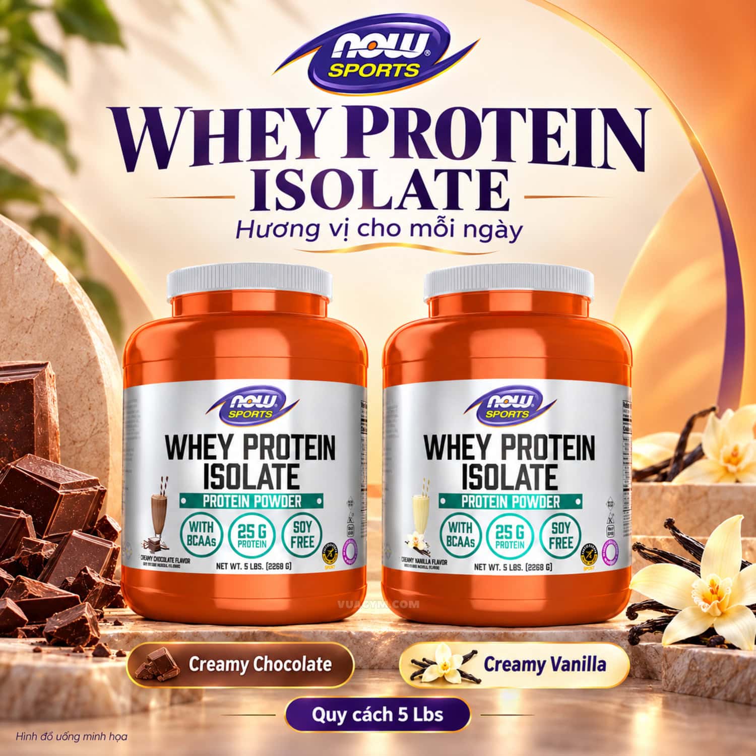 NOW Whey Protein Isolate Creamy Chocolate và Creamy Vanilla