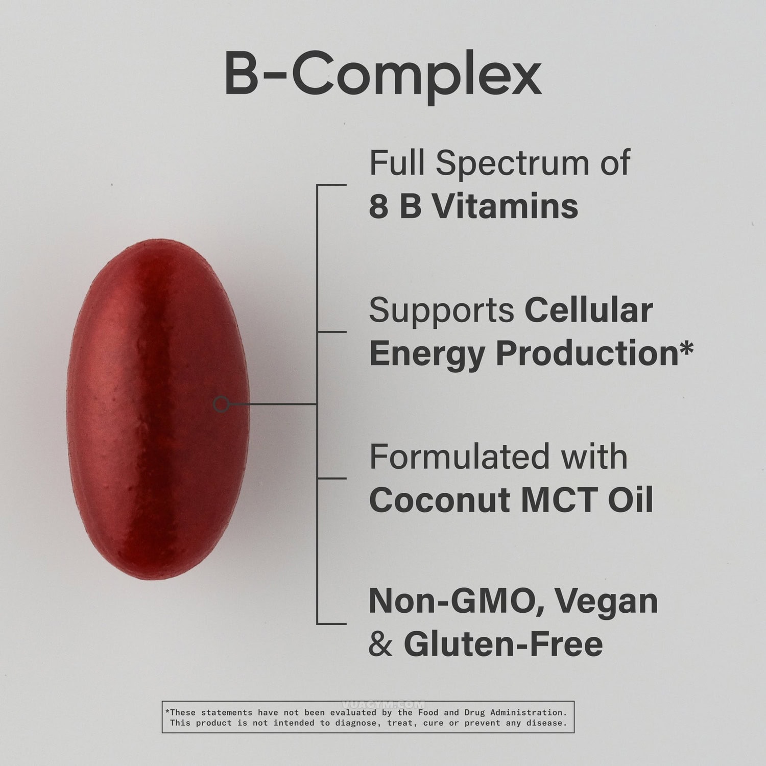Giới thiệu Vitamin B-Complex của Sports Research